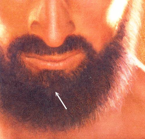 A devil in the beard of Jesus